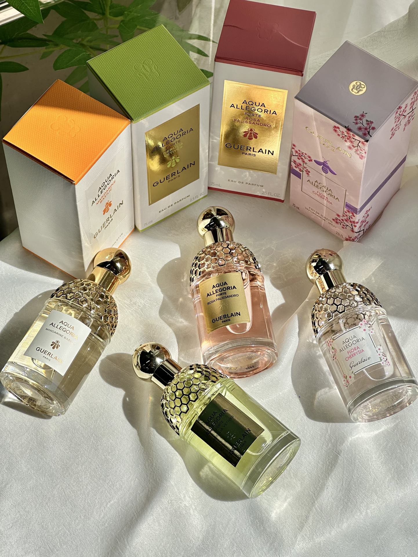 Guerlain Aqua Allegoria Fragrance Collection - Comprehensive 7