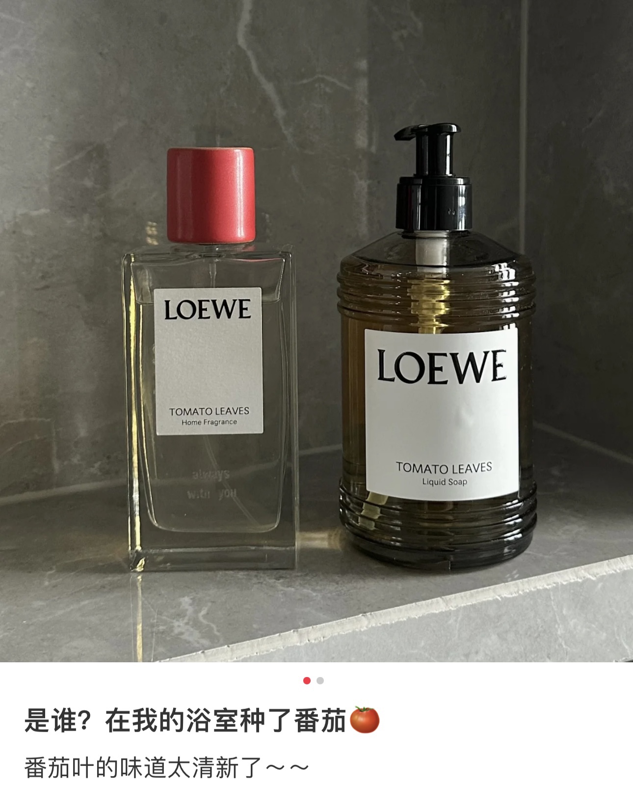 Loewe Haute Couture Designer Jacket Coat Ready-to-Wear Ref.87468E2D 2