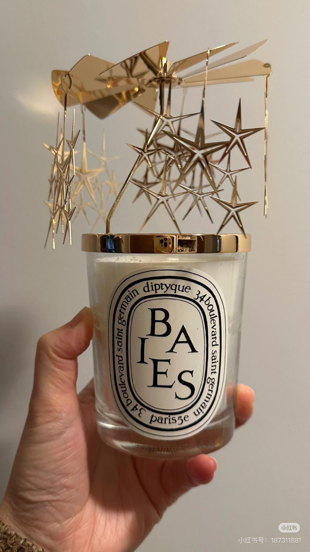 Diptyque Limited-Edition Candle Photophore - Comprehensive 3