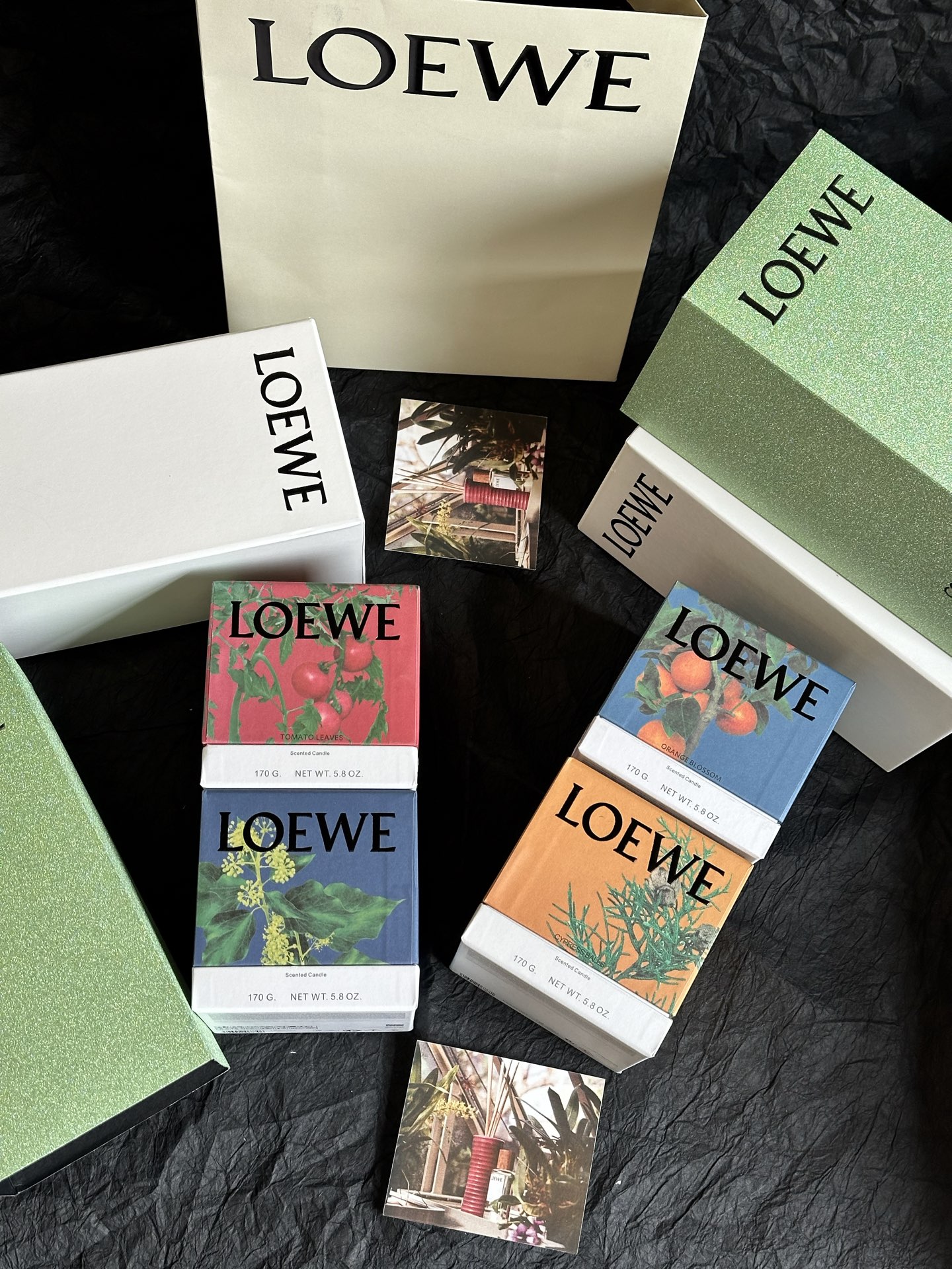 罗意威 Loewe 典雅居所生活方式奢华家居家纺摆件 #5BFC6CA8 5
