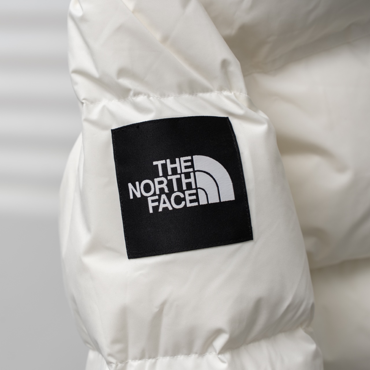 TNF 北面 韓国版 脱袖 二合一 フード付き ダウンジャケット