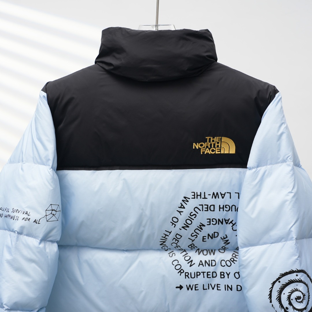 THE NORTH FACE 脳死亡 コラボ ダウンジャケット ブルー 保温性抜群
