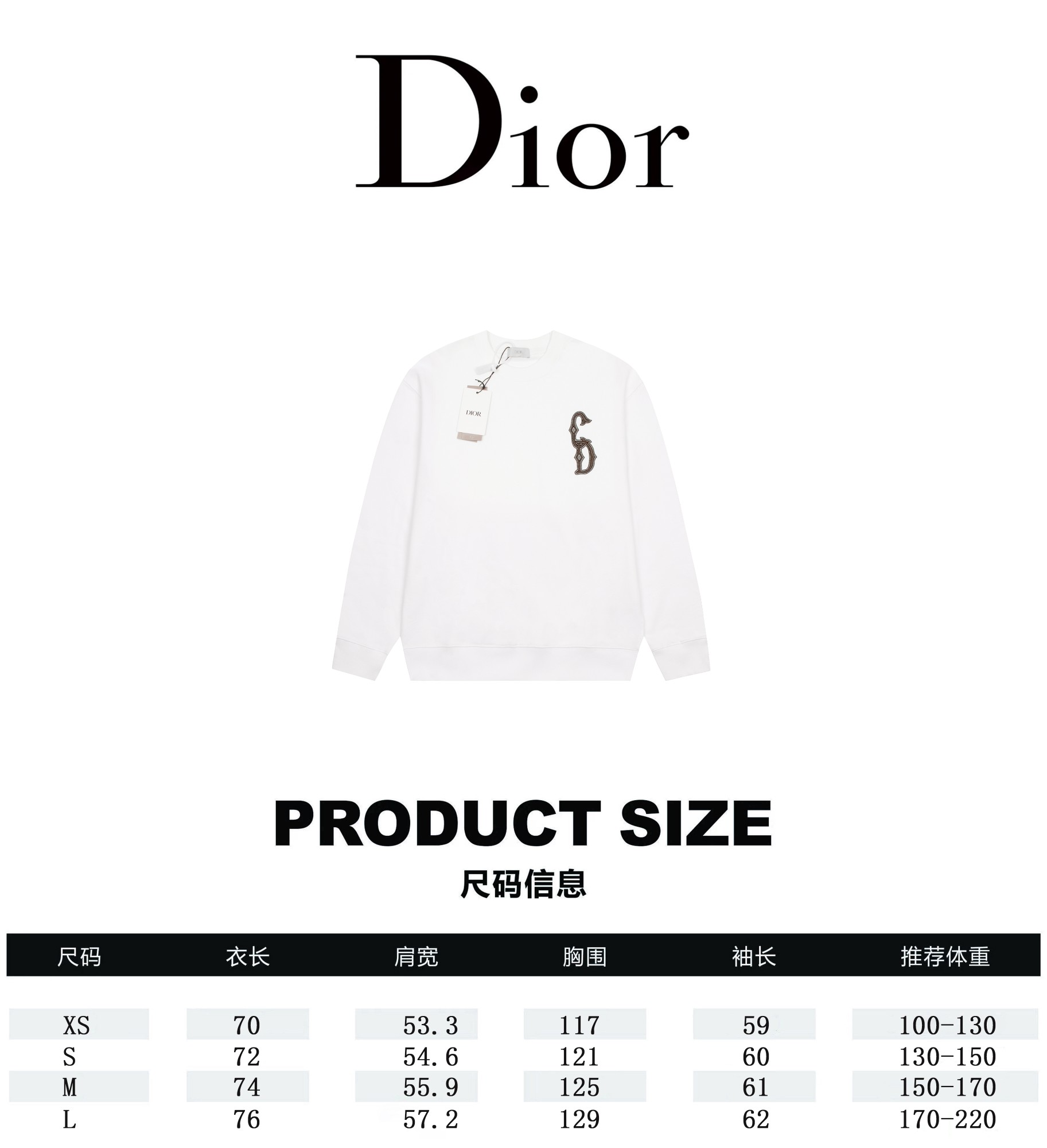 Dior Clothing Sweatshirts Embroidery Fall/Winter Collection