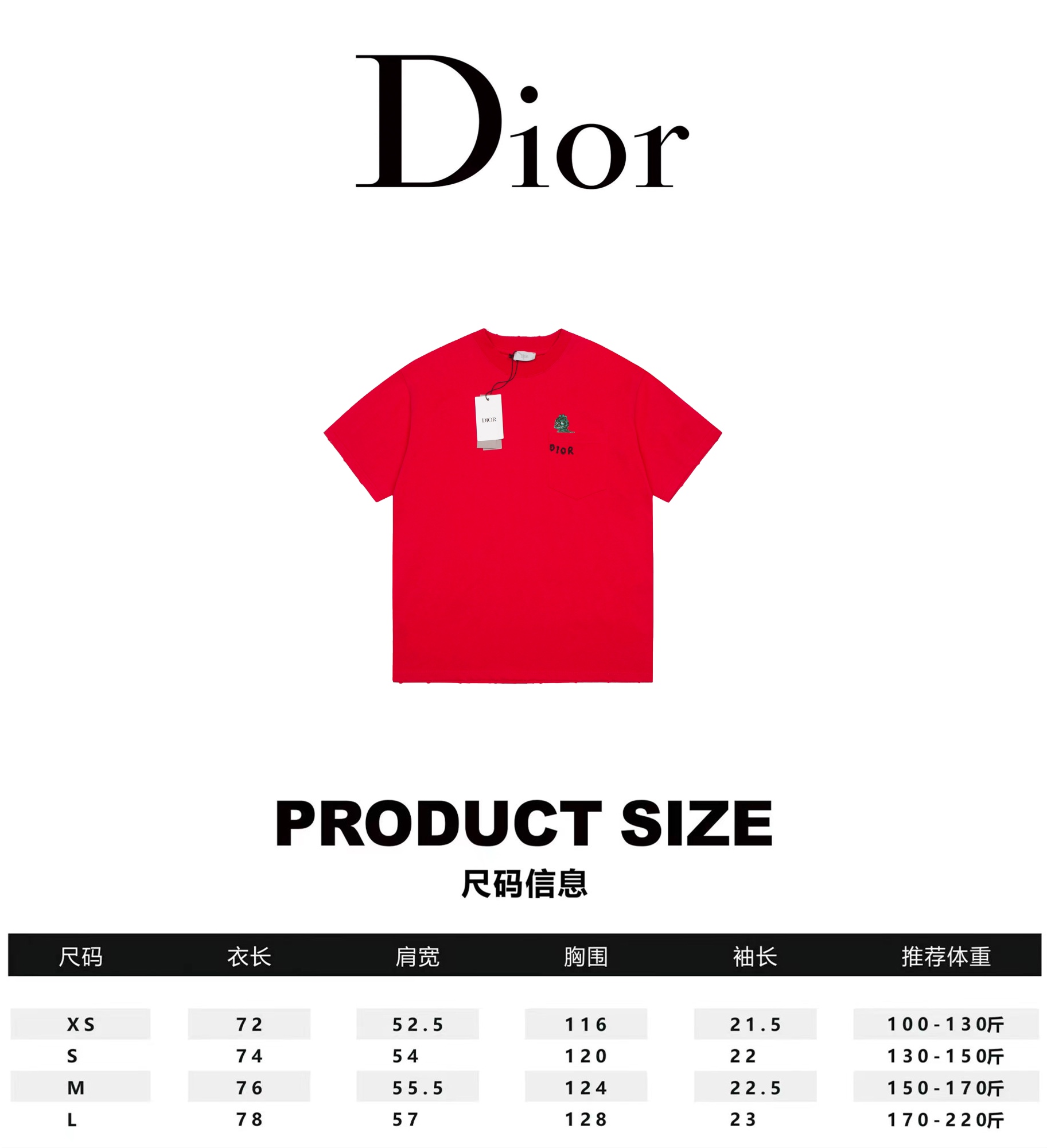 Dior Clothing T-Shirt mirror copy luxury