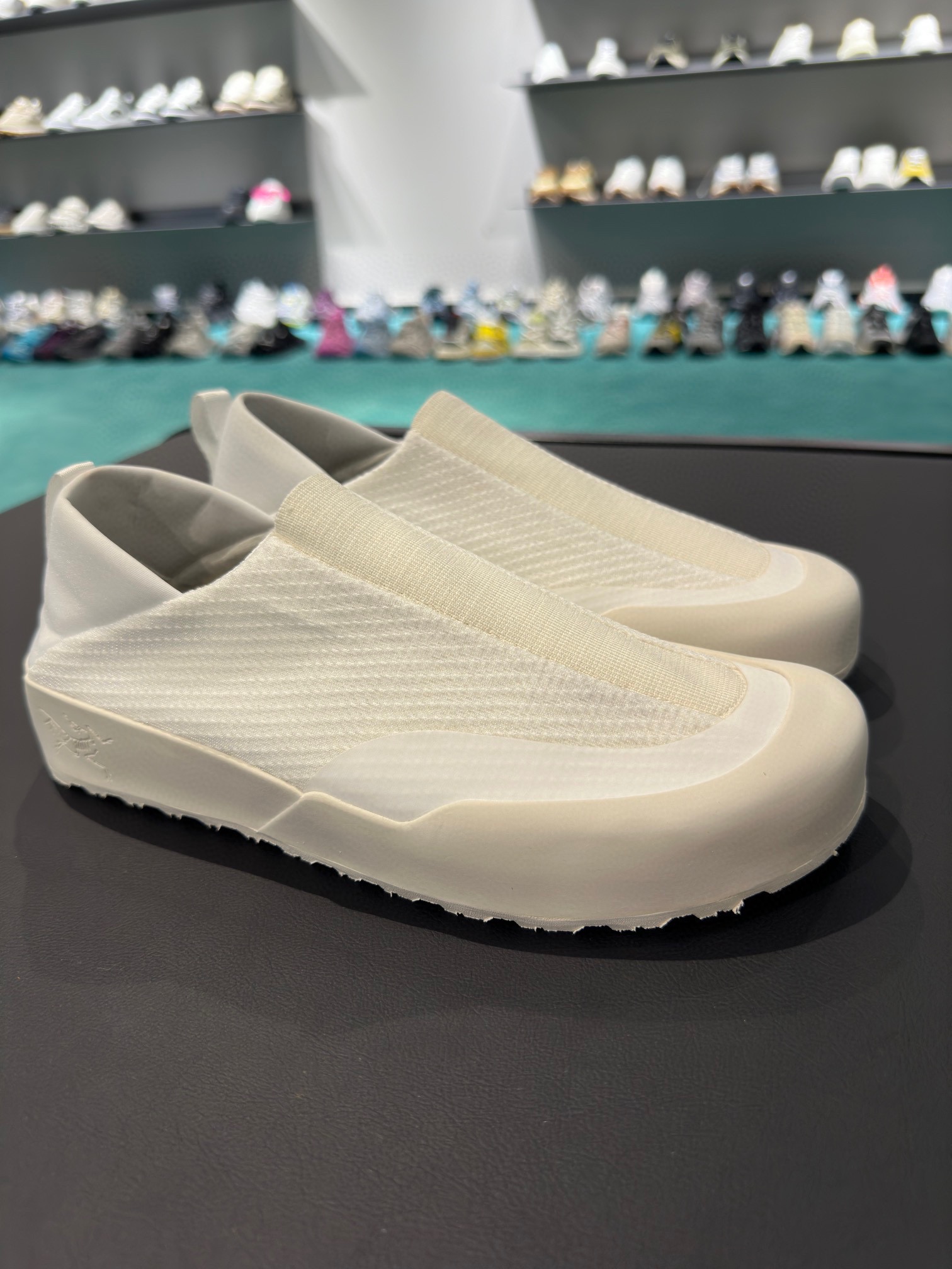 P250. los nuevos zapatos de principiante Pájaro finalmente en un futuro próximo oficialmente en líne
