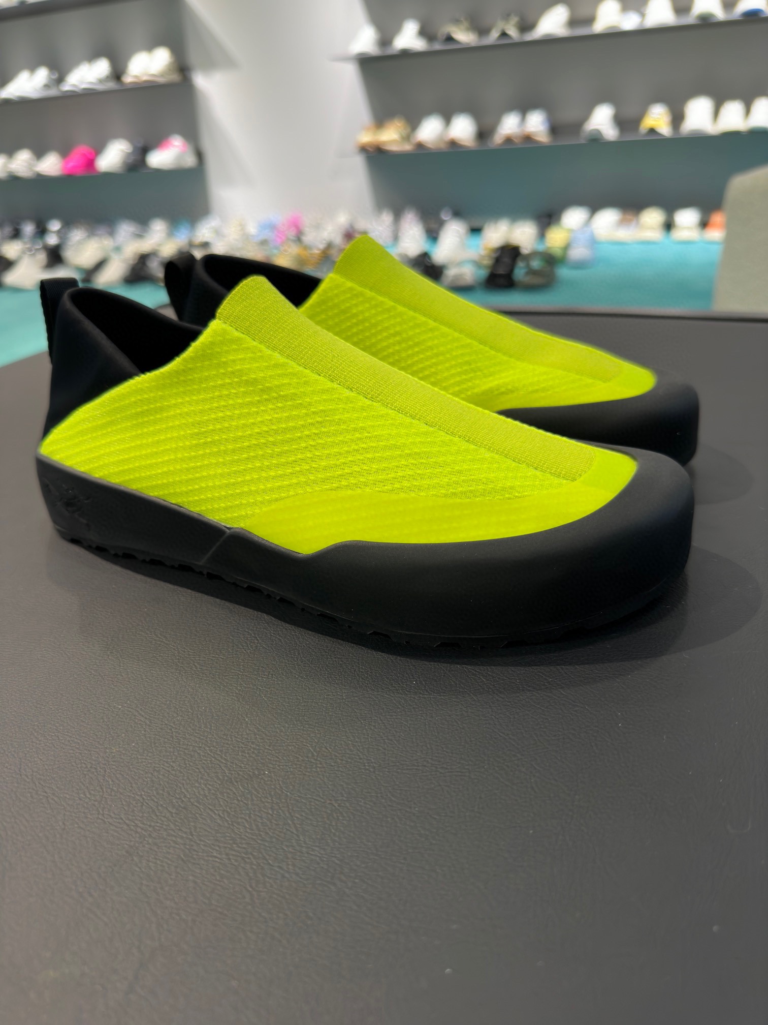 P250. los nuevos zapatos de principiante Pájaro finalmente en un futuro próximo oficialmente en líne