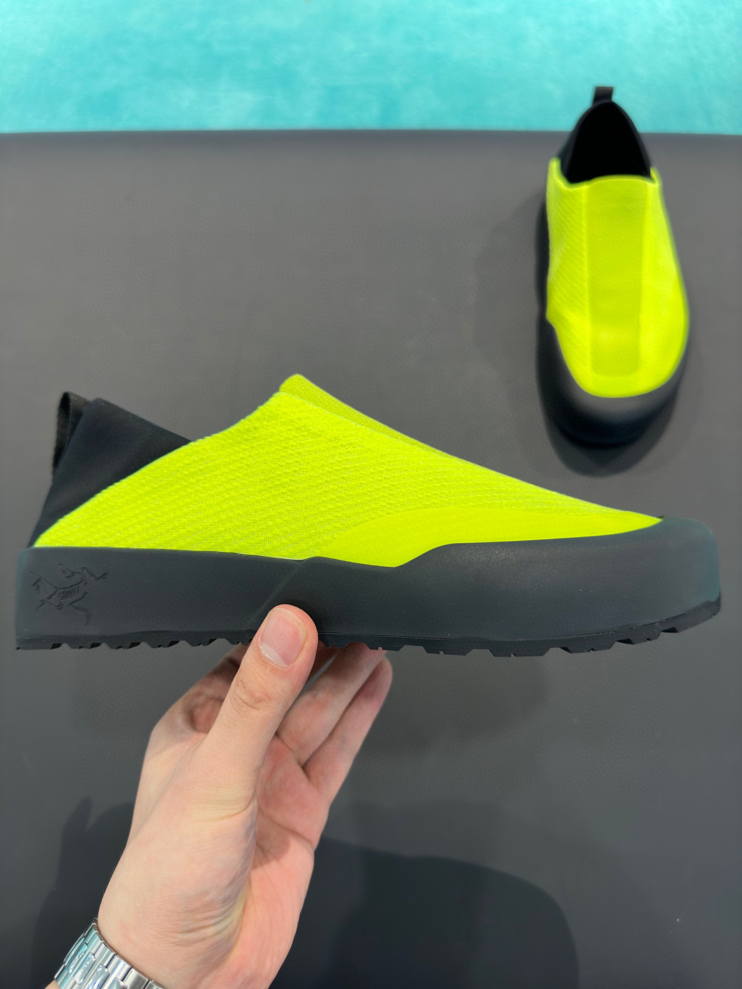 P250. los nuevos zapatos de principiante Pájaro finalmente en un futuro próximo oficialmente en líne