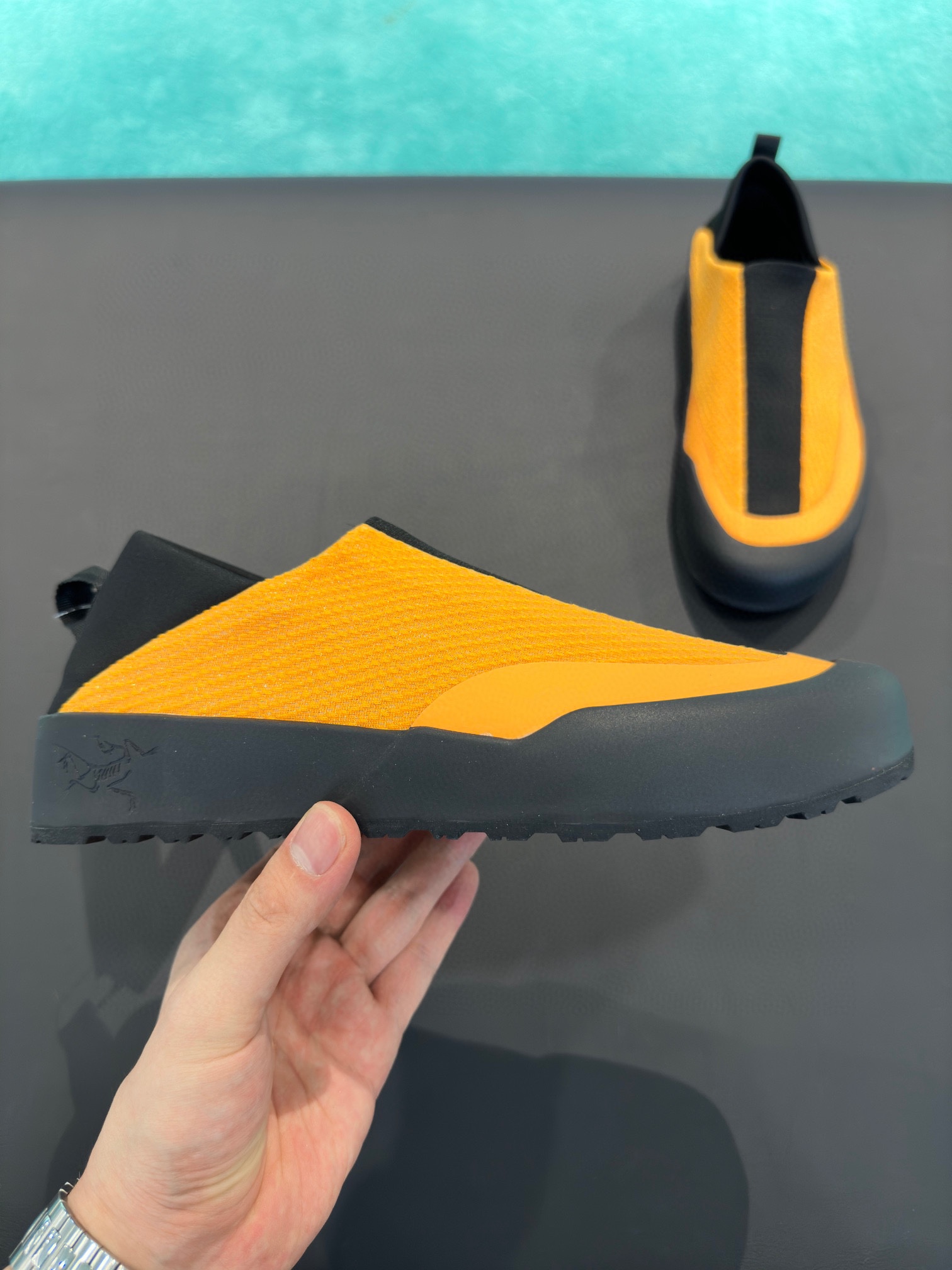 P250. los nuevos zapatos de principiante Pájaro finalmente en un futuro próximo oficialmente en líne