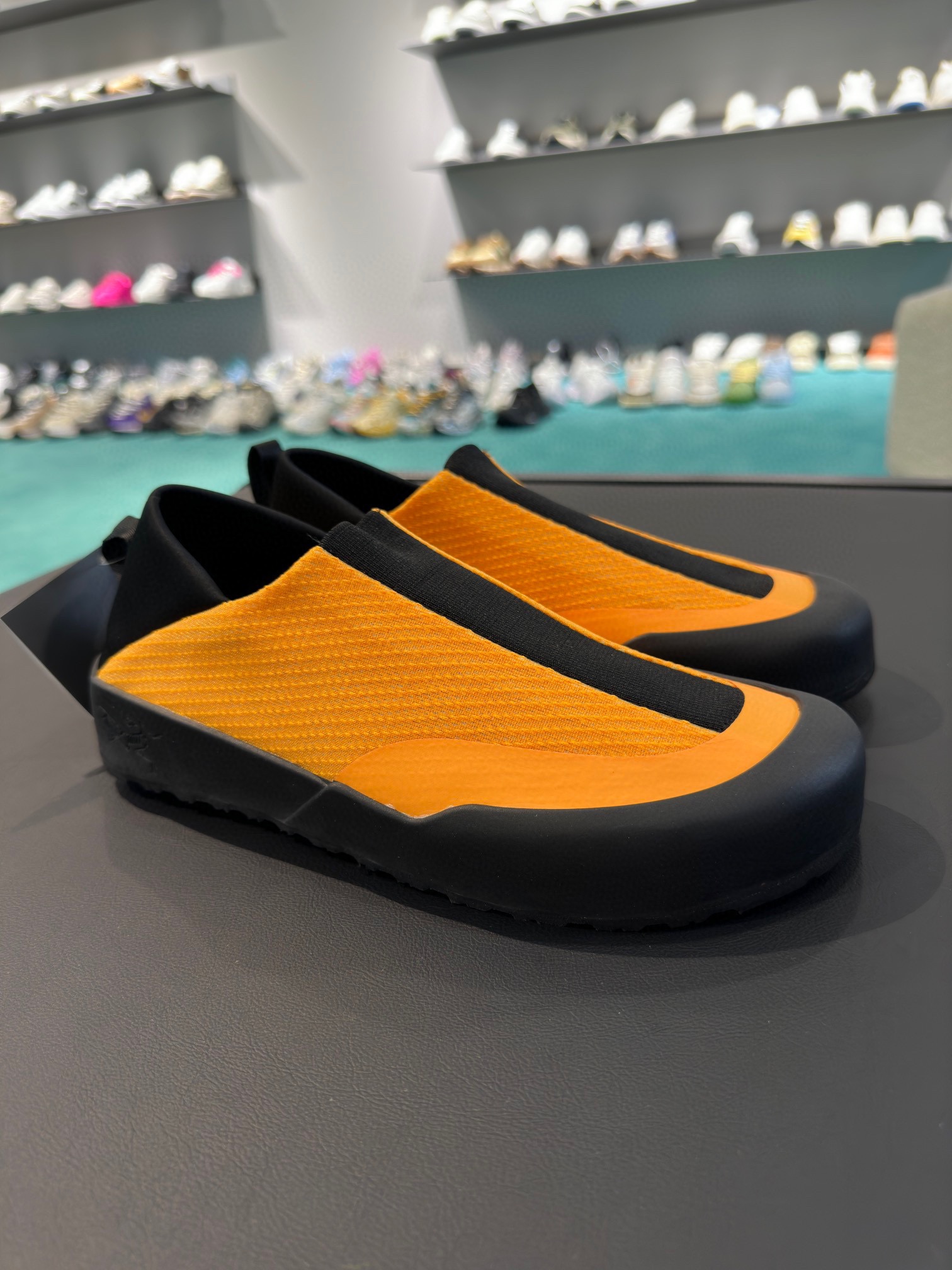 P250. los nuevos zapatos de principiante Pájaro finalmente en un futuro próximo oficialmente en líne