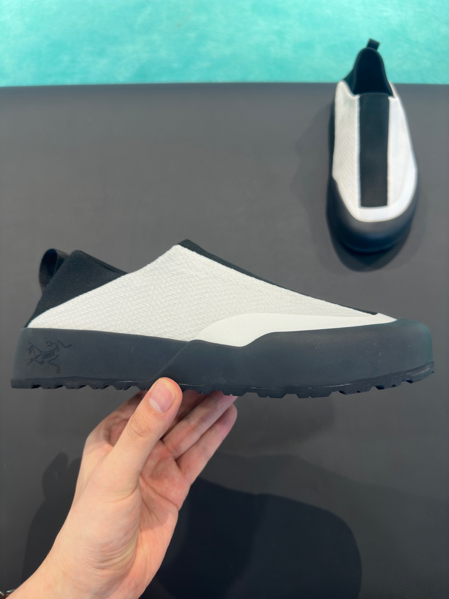P250. los nuevos zapatos de principiante Pájaro finalmente en un futuro próximo oficialmente en líne