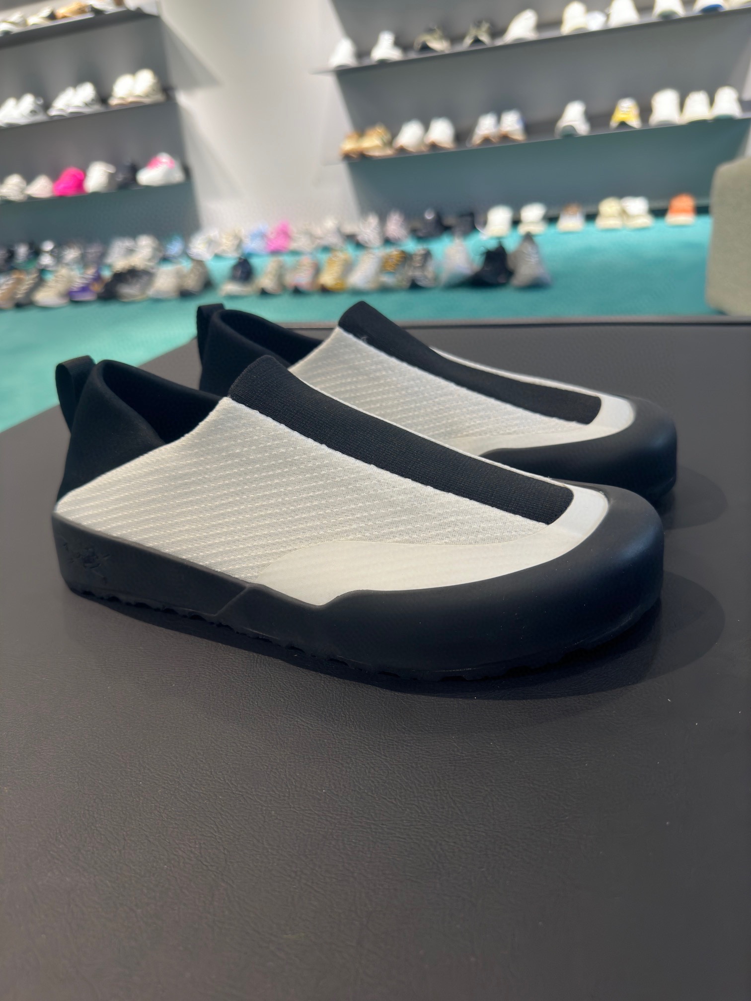 P250. los nuevos zapatos de principiante Pájaro finalmente en un futuro próximo oficialmente en líne