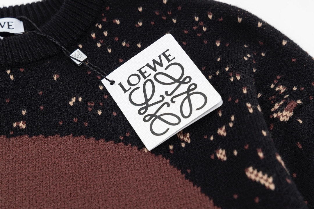 Loewe AD104 Sweater: High-Tech Wool Blend, Unisex Design, Premium Quality - 图片 5