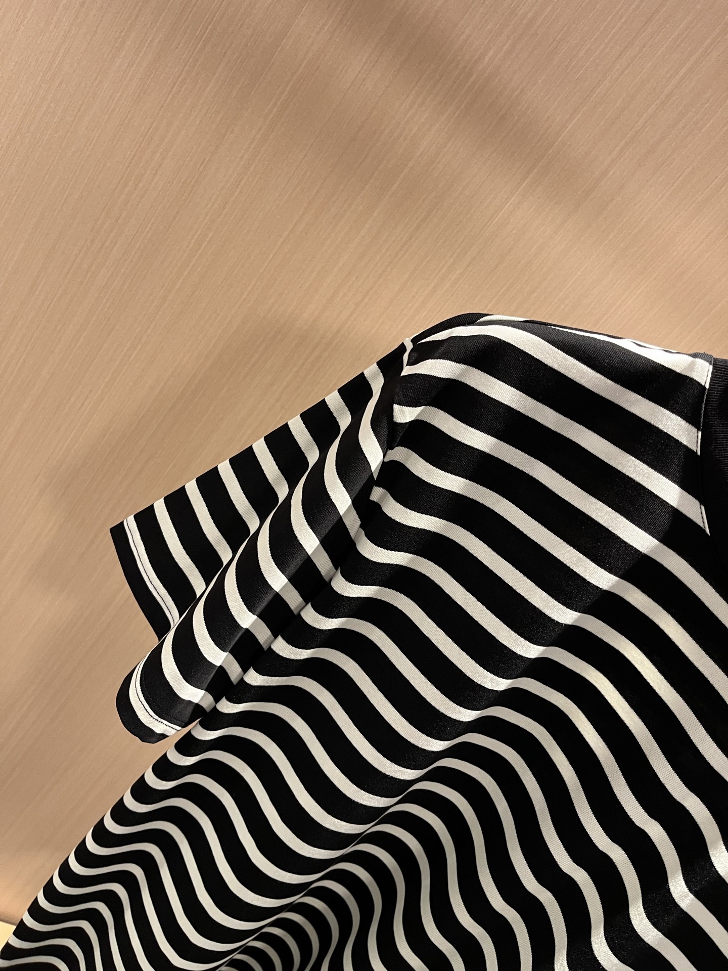 Loro Piana  短袖T恤服装,男 6