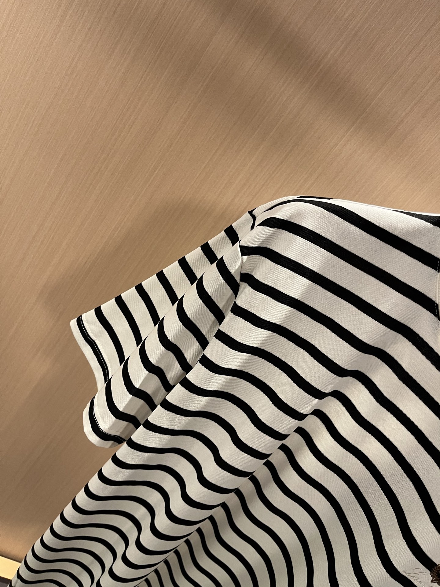 Loro Piana  短袖T恤服装,男 6