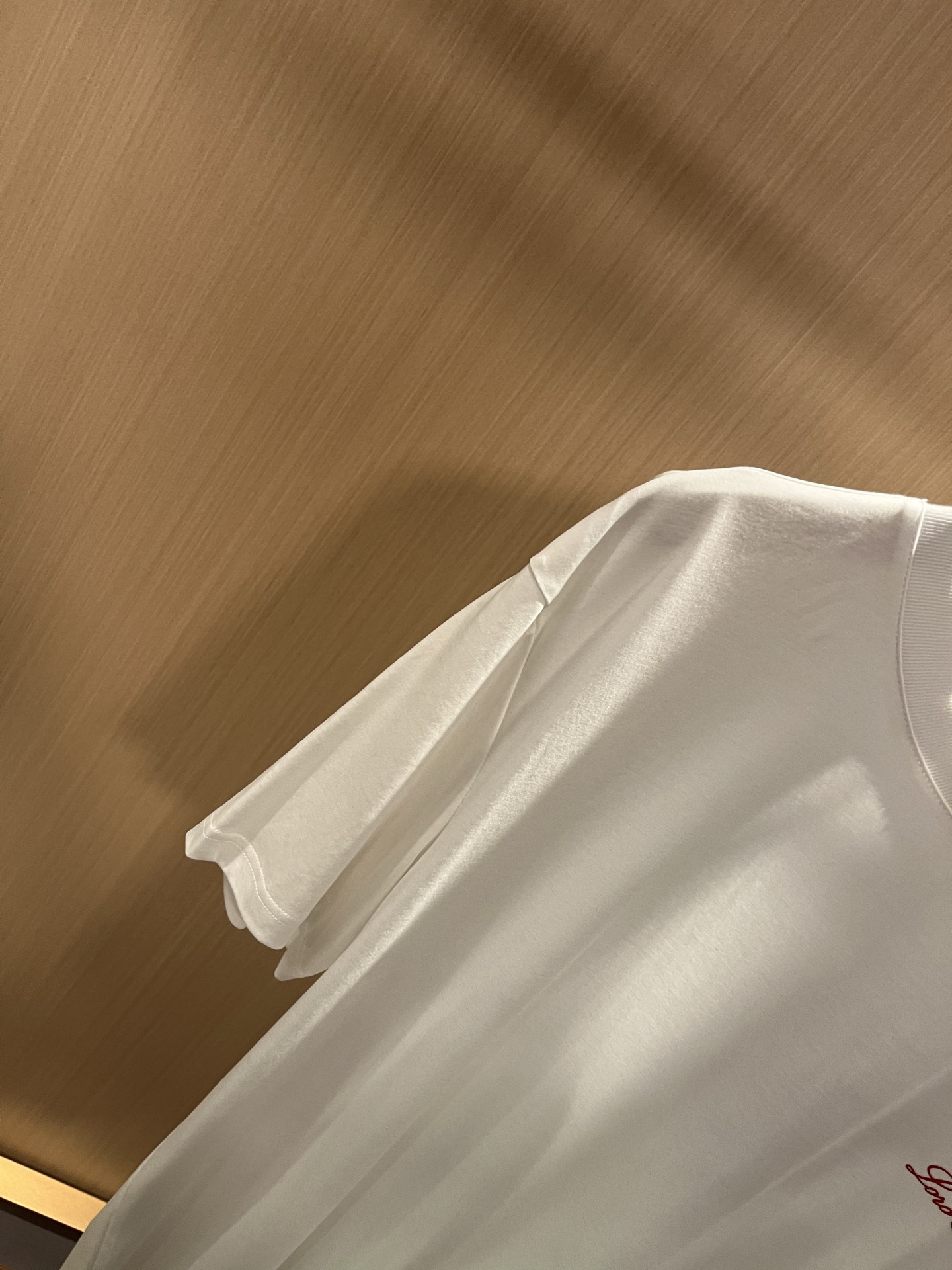 Loro Piana  短袖T恤服装,男 6