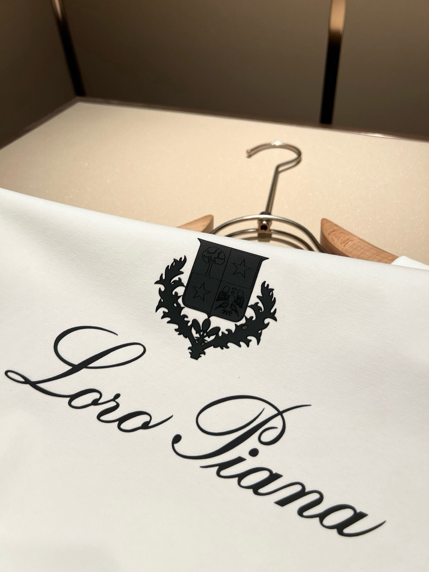 Loro Piana诺悠翩雅 2026春夏男士最新的贸易订单短袖T恤，全品相！！网红款！采用logo图案