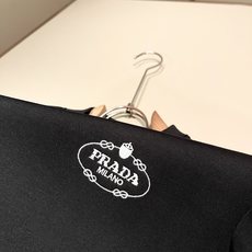 PRAD*A普*达2026秋冬新款男女同款👫长袖卫衣,最新款全网独家首上!!~既经典有时尚百搭,谁不爱啊,将经典再次展现 PRAD*A普*达2026秋冬新款男女同款👫长袖卫衣,最新款全网独家首上!!~既经典有时尚百搭,谁不爱啊,将经典再次展现