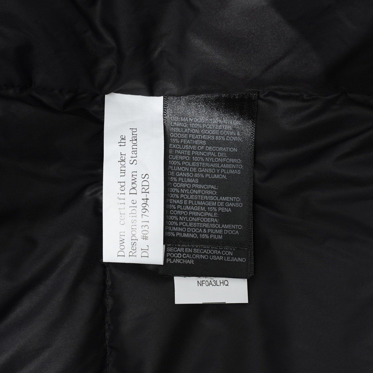 windows1761190964159 983923934 2067765491