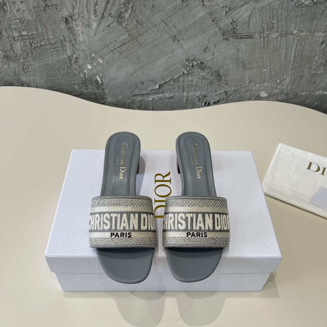 Dior Copy
 Shoes Slippers Embroidery Spring Collection