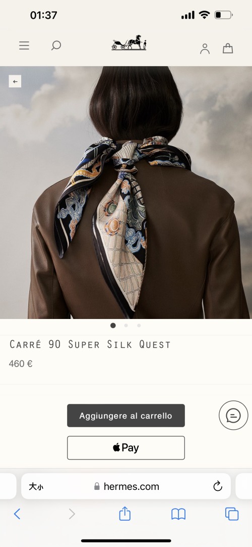 Hermès Carré 90 'Super Silk Quest' 100% Twill Silk Scarf - Hand-Rolled Edges 1 Hermès Carré 90 'Super Silk Quest' 100% Twill Silk Scarf - Hand-Rolled Edges
