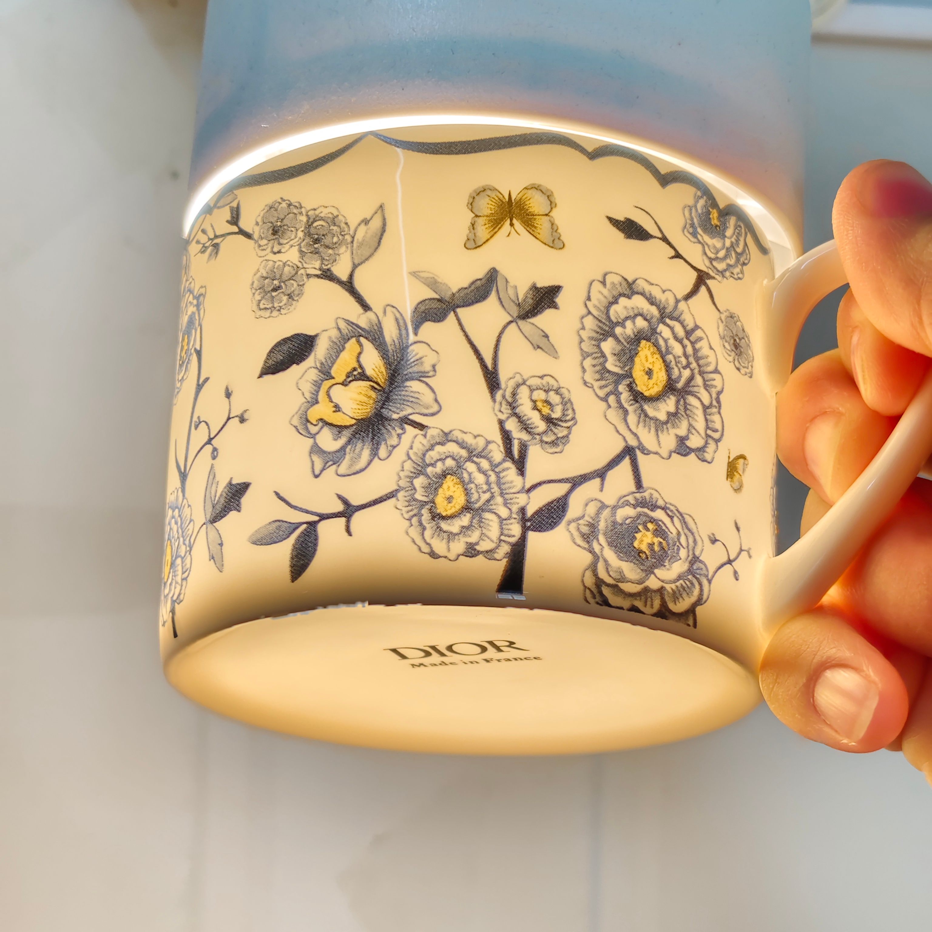 DIOR Granville Garden Coffee Set (1 Pot, 2 Cups, 2 Saucers) – Blue - Comprehensive 5