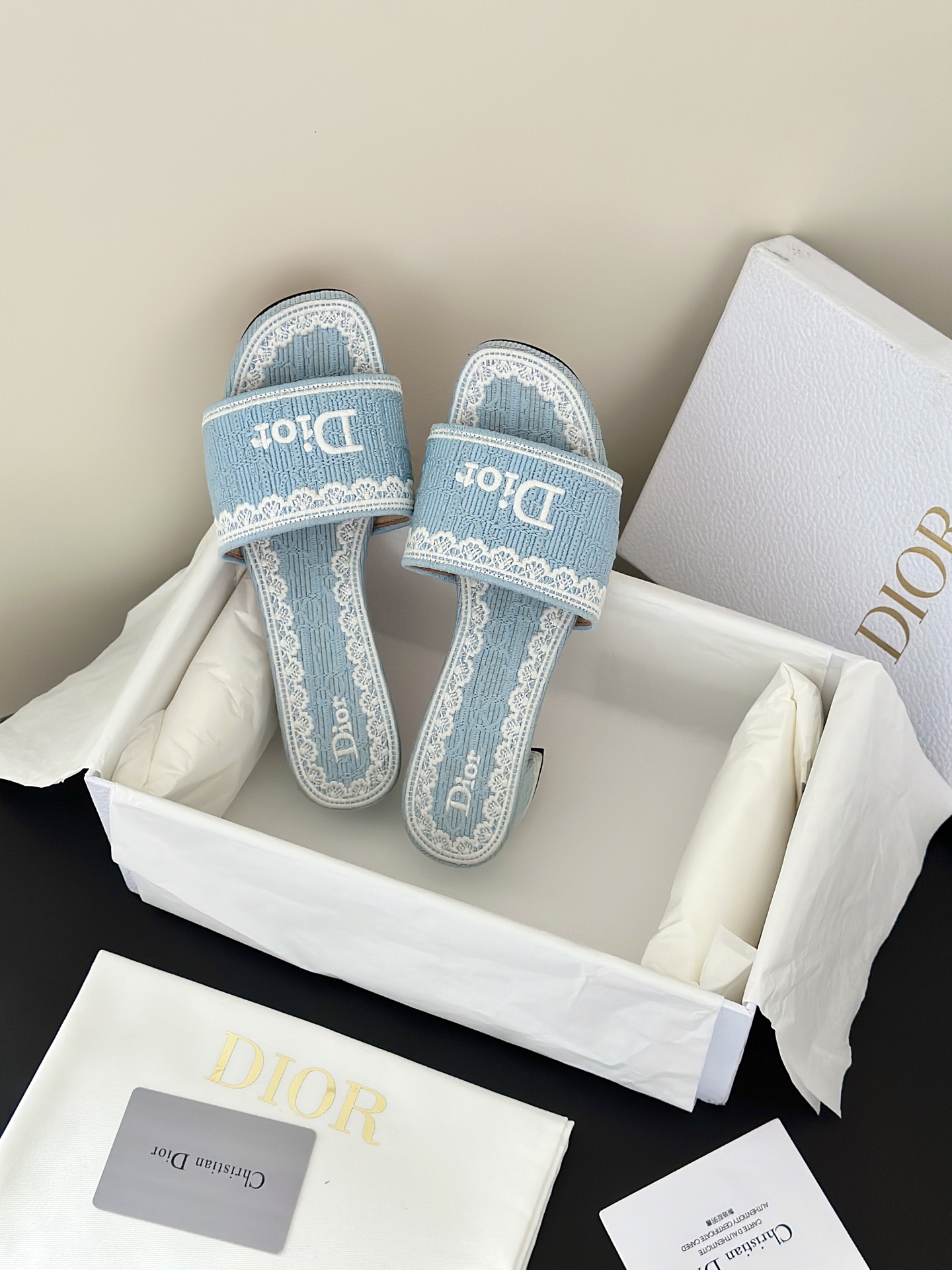 Dior Slides