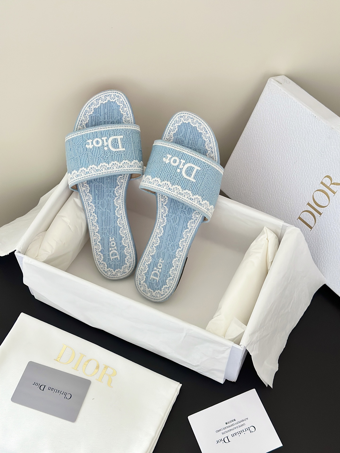 Dior Slides