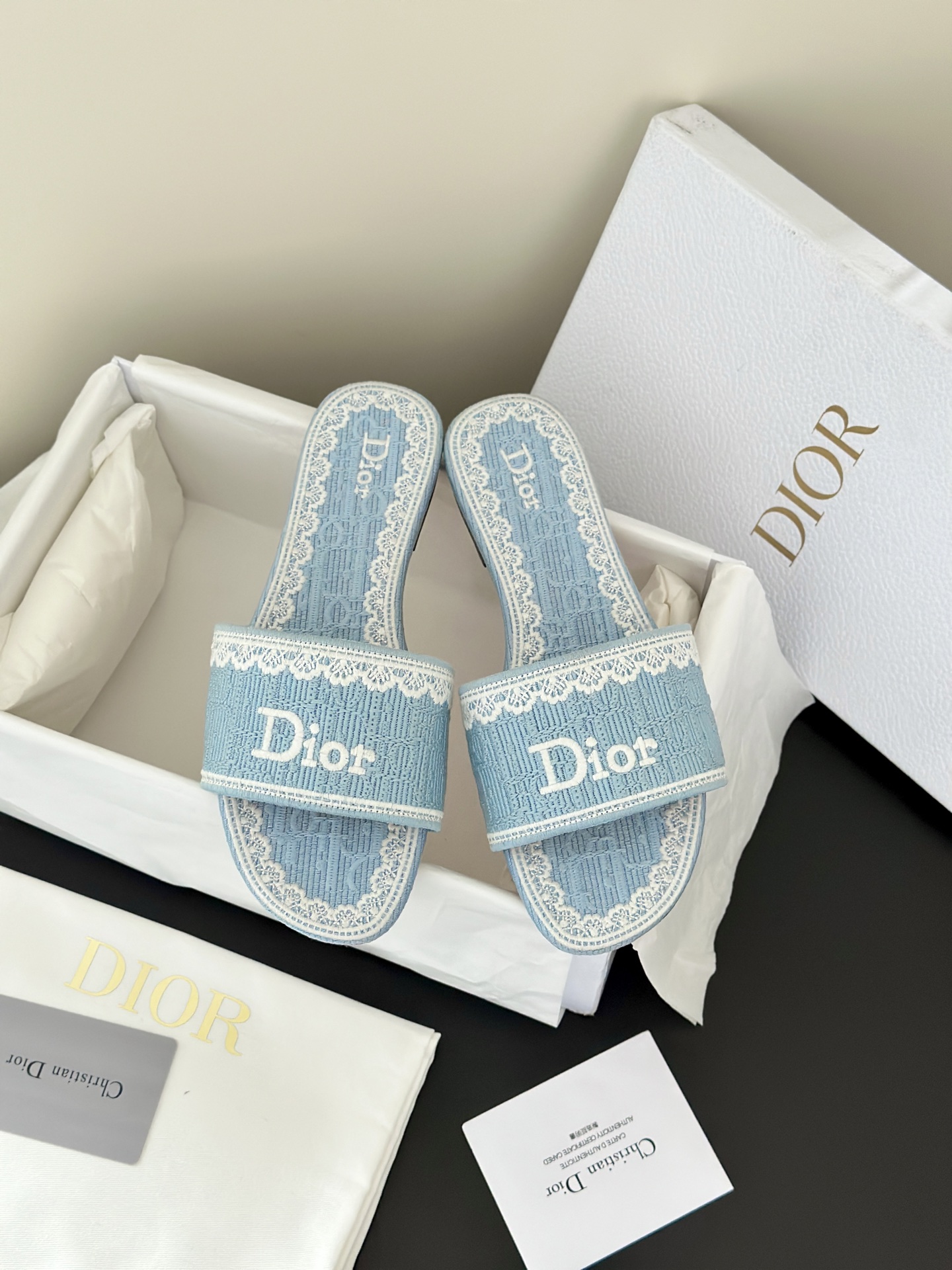 Dior Slides
