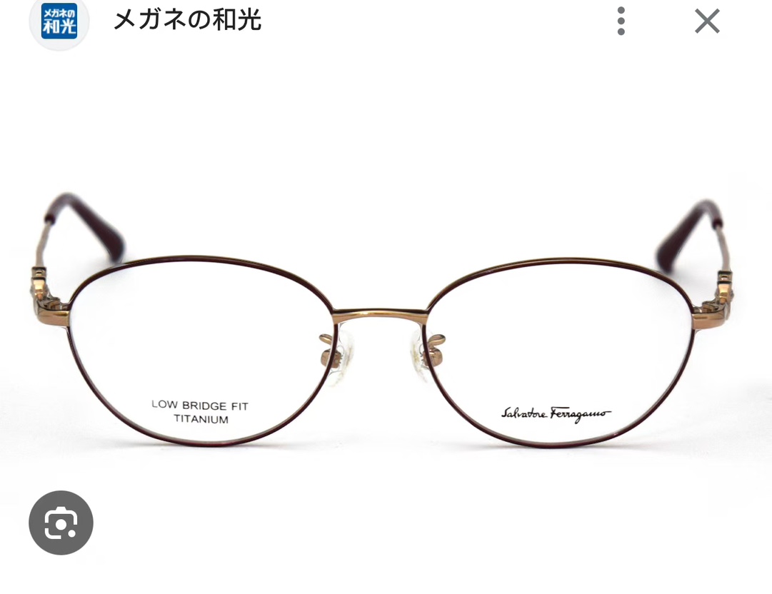 Salvatoreferragam*菲*拉格慕MODELSF2575LBSIZE53口17-140