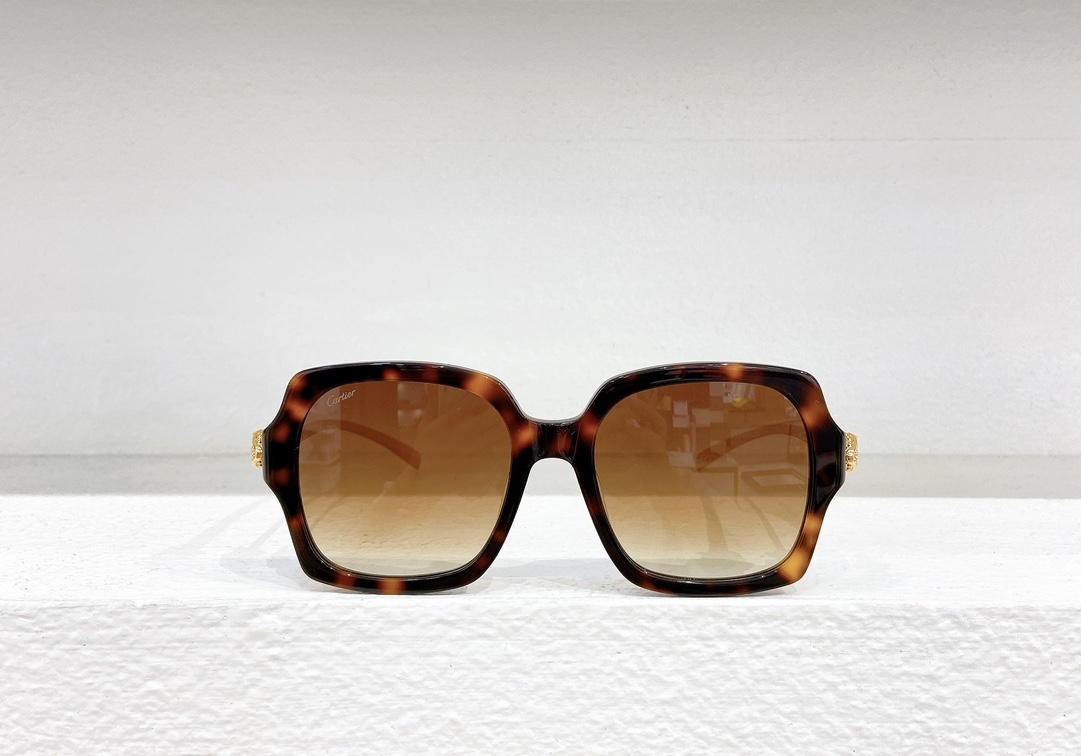Cartie*MODELCT0646SSIZE:53口19-130