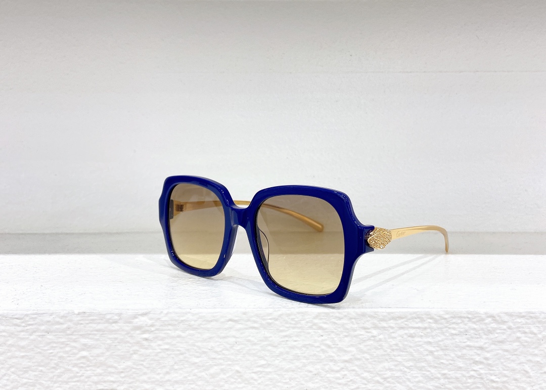 Cartie*MODELCT0646SSIZE:53口19-130