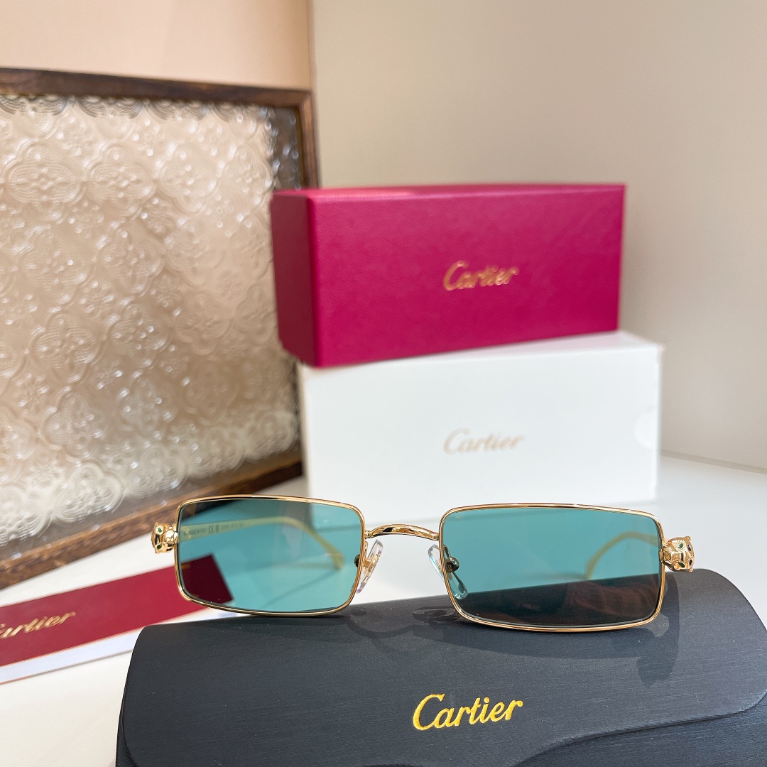  Cartie*✨✨✨MODEL：CT0473S✨✨✨SIZE：54口20-140✨✨✨高版本~~ 