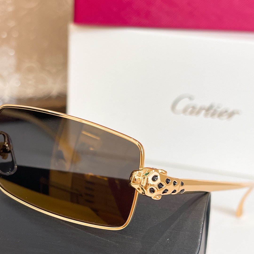  Cartie*✨✨✨MODEL：CT0473S✨✨✨SIZE：54口20-140✨✨✨高版本~~ 