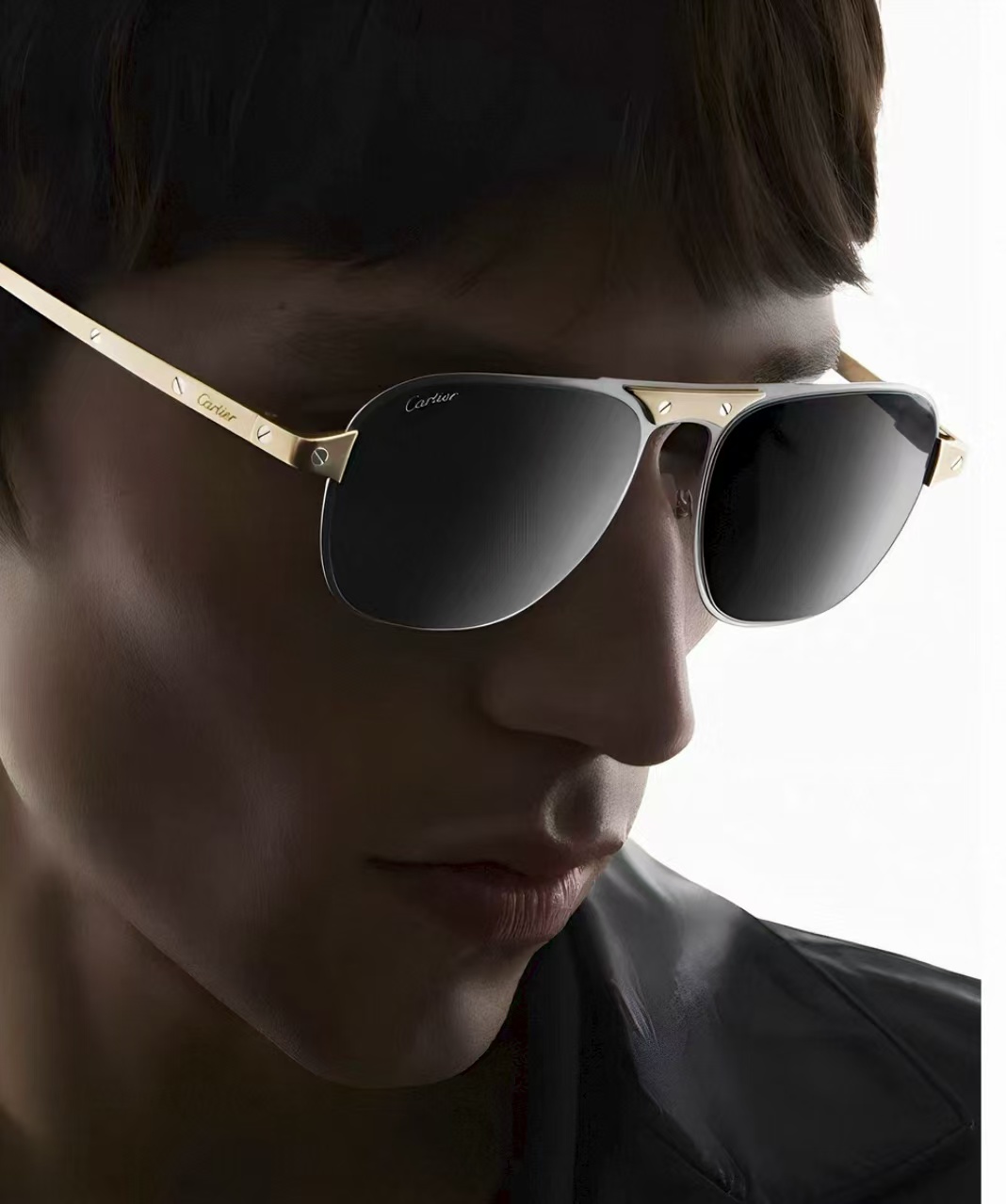 Cartier 卡地亚墨镜