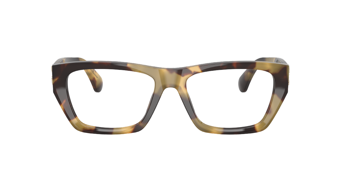 CHANE*🌸🌸🌸MODEL：CH3495🌸🌸🌸 SIZE：55口17-145🌸🌸🌸