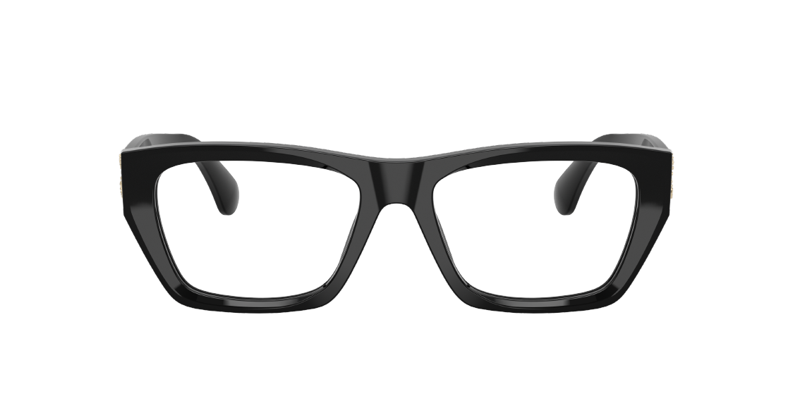 CHANE*🌸🌸🌸MODEL：CH3495🌸🌸🌸 SIZE：55口17-145🌸🌸🌸