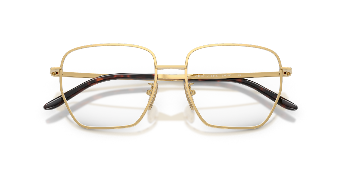 PRAD*🍂🍂🍂MODEL：PR C51VD🍂🍂🍂SIZE：51口20-145🍂🍂🍂