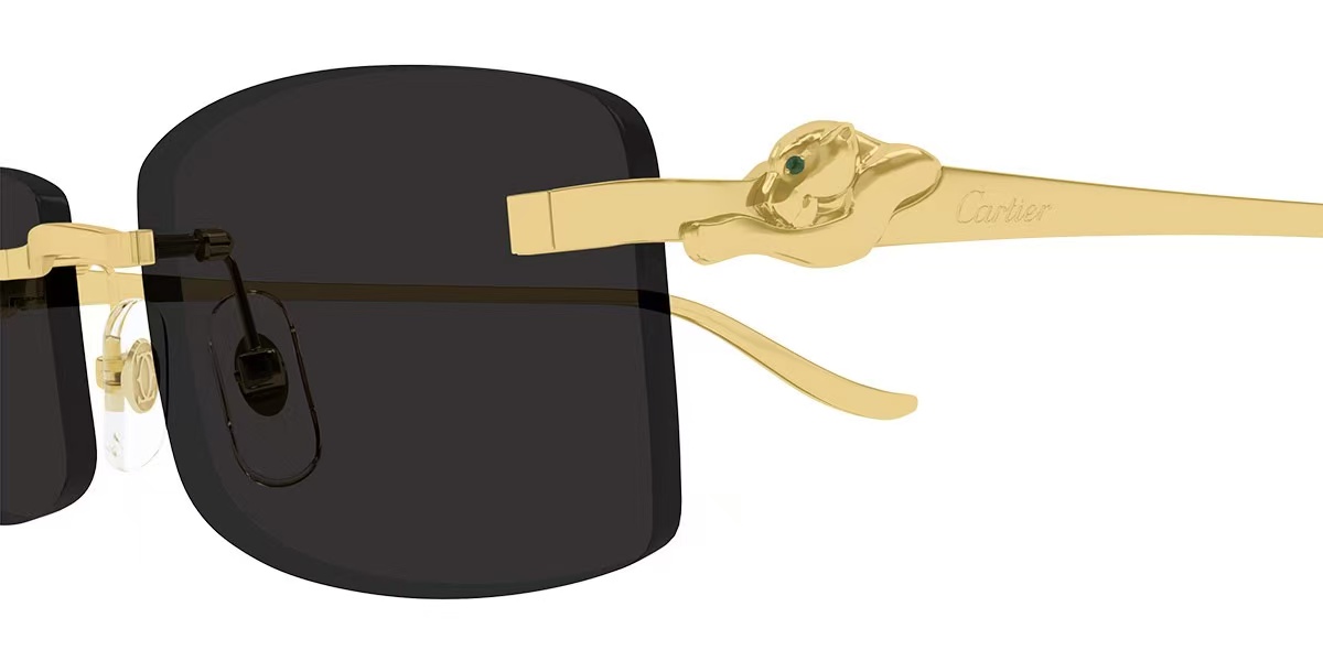 Cartie*✨✨✨MODEL：CT0552S ✨✨✨ 135✨✨✨太阳镜～，变色镜片～