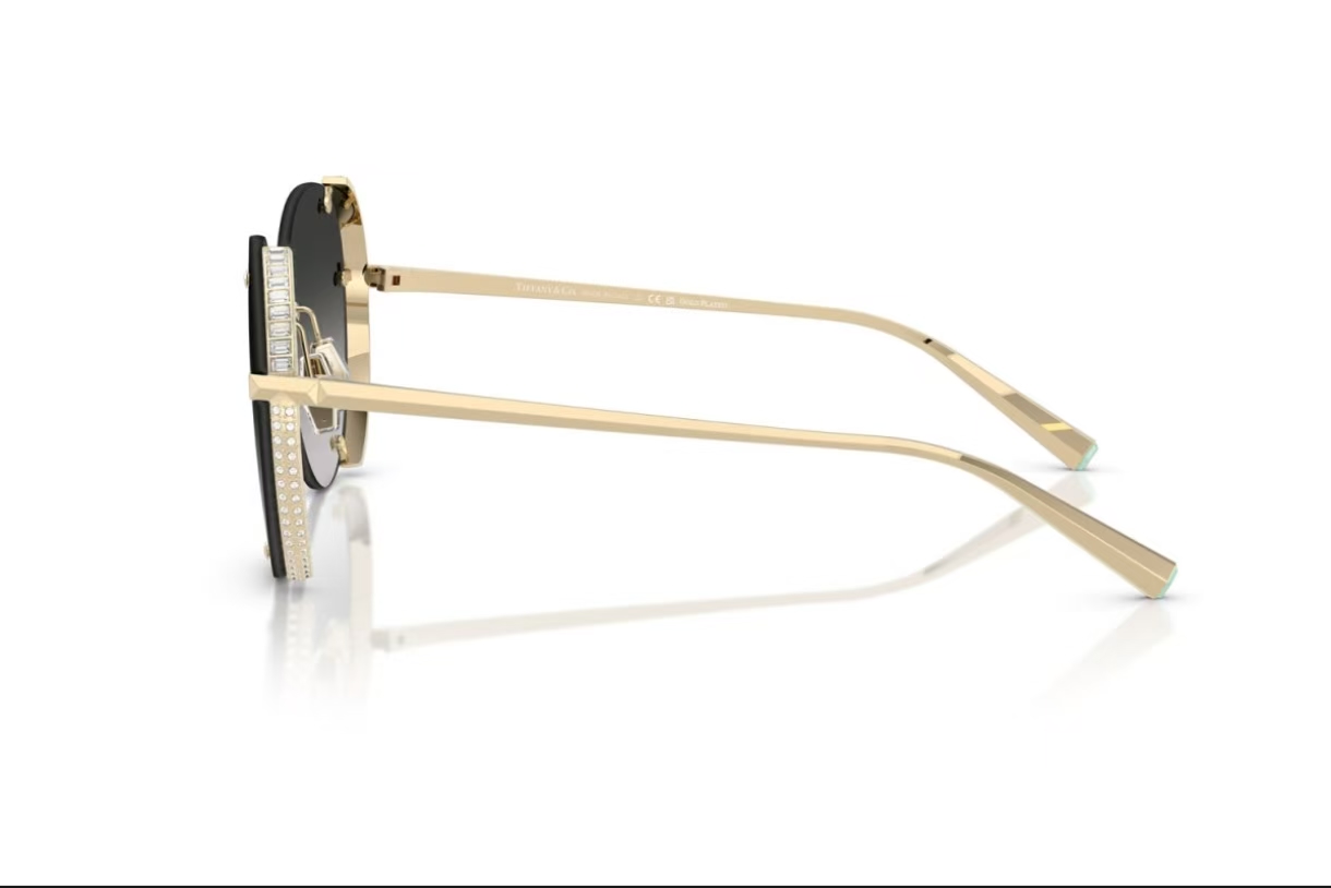 TIFFANY&Co.✨✨✨MODEL：TF3110✨✨✨ SIZE：59口20-142✨✨✨