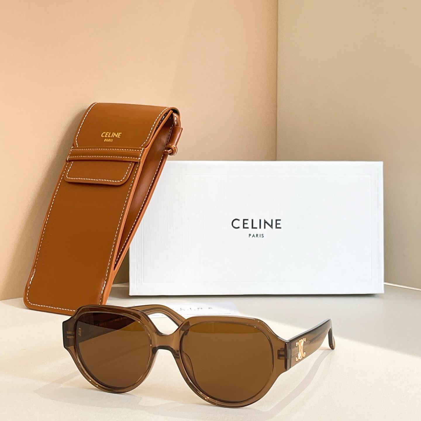 CELINE Sunglasses Acetate Polygon Brown