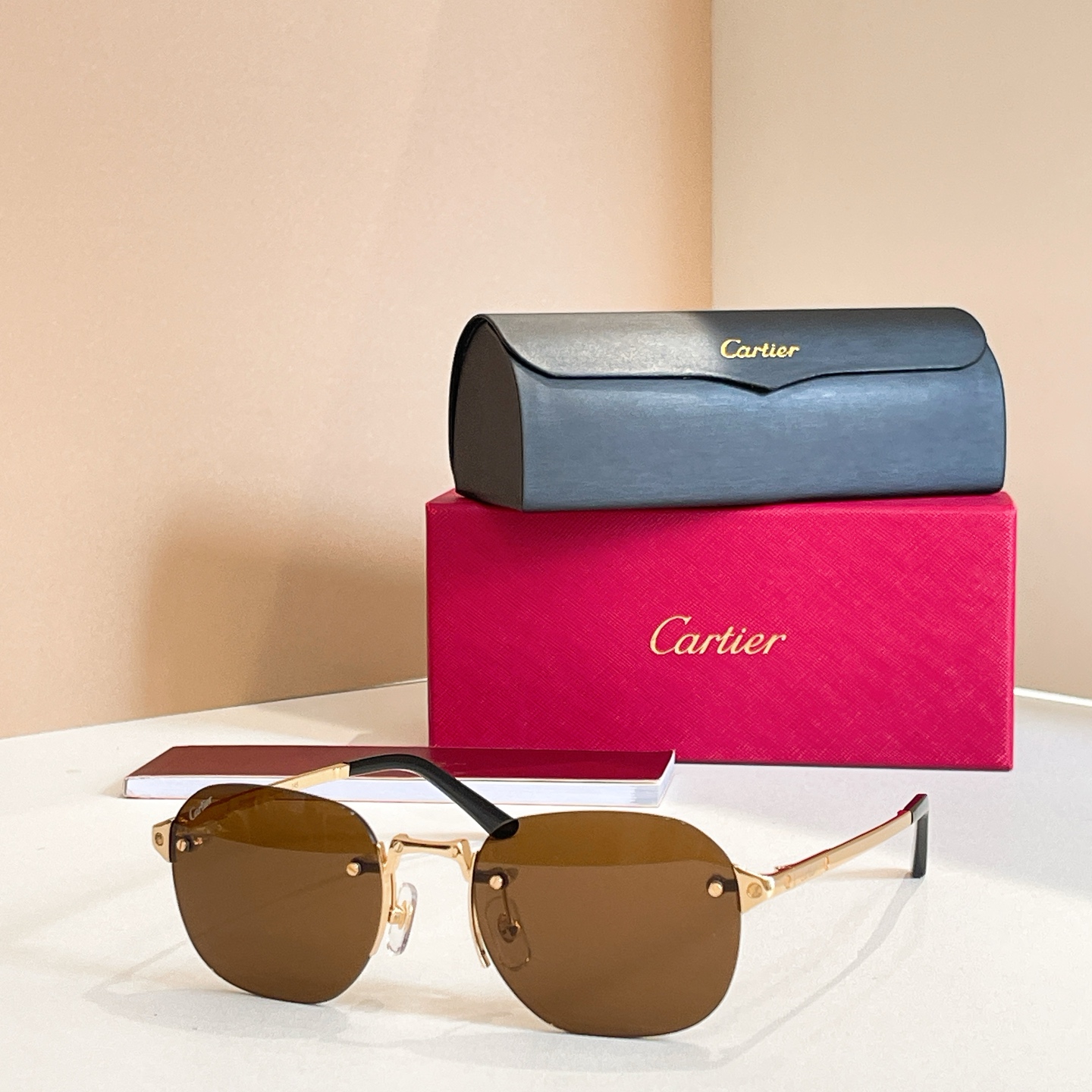 Cartie*✨✨✨MODEL：CT0459S✨✨✨ 145✨✨✨钛～～