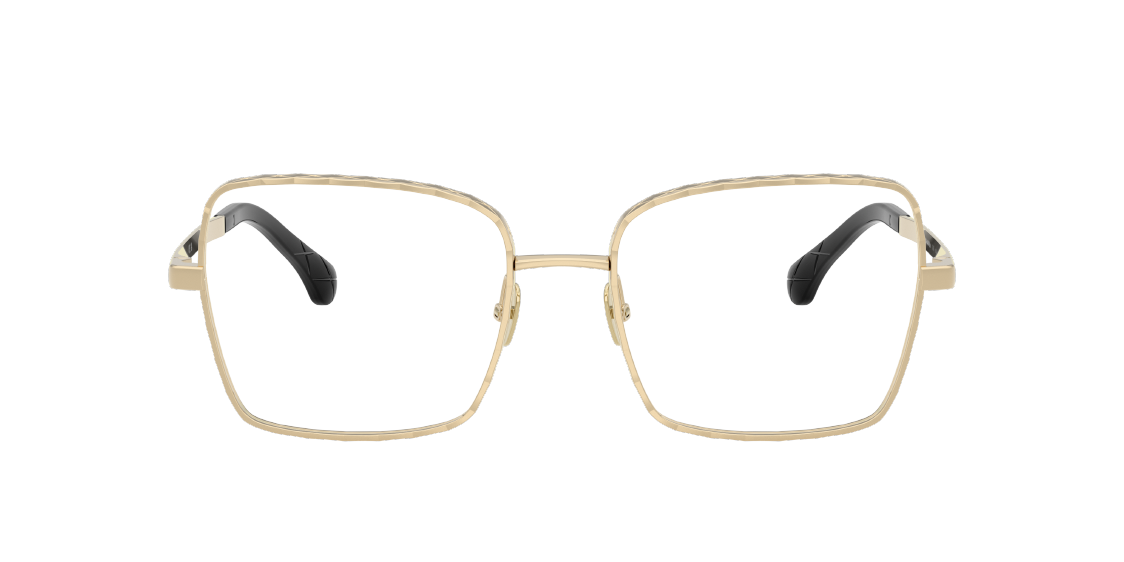 CHANE*🌸🌸🌸MODEL：CH2226🌸🌸🌸SIZE：54口19-145🌸🌸🌸