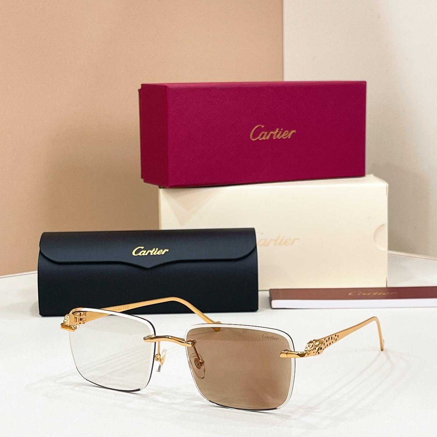 Cartier CT0479S Sunglasses Metal Rimless Square