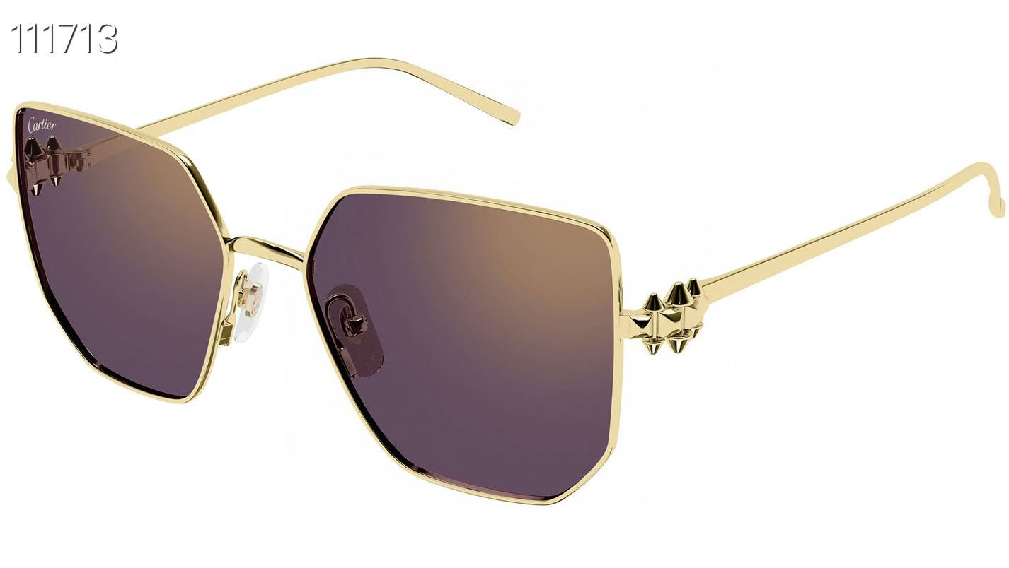Cartier 13015046Cartie* MODEL：CT0645S SIZE