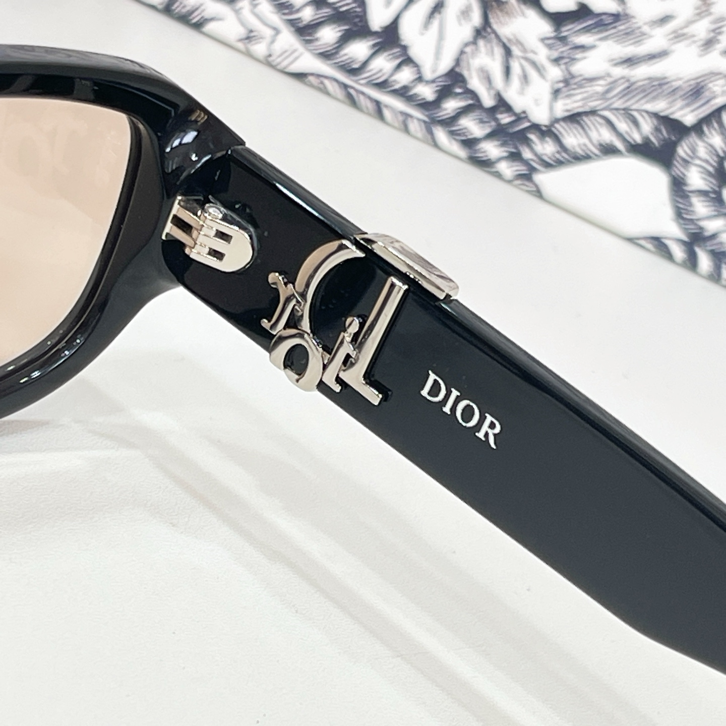 Dior DIO* Oblique R2F