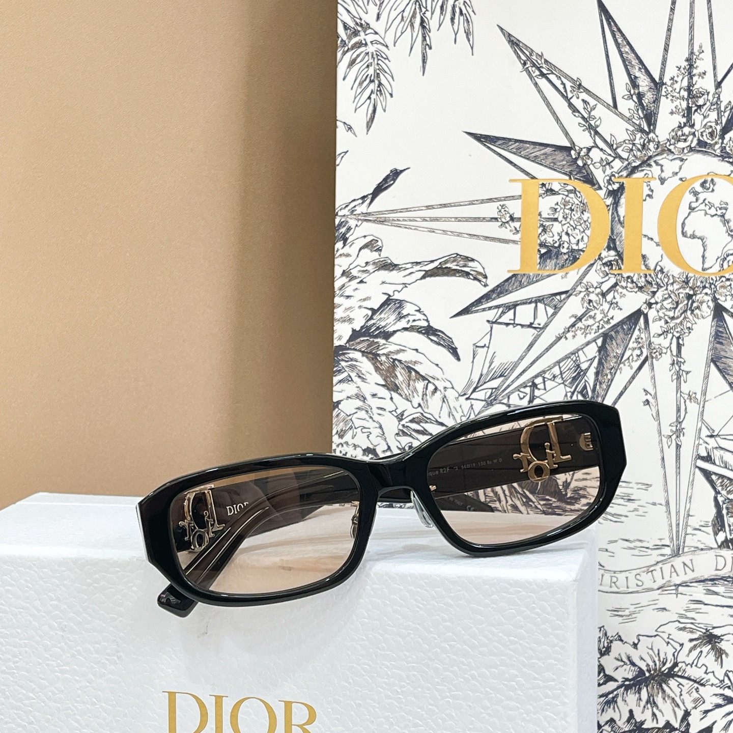 Dior DIO* Oblique R2F