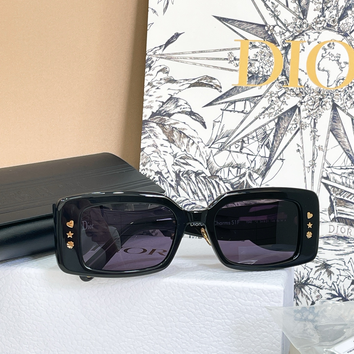 Dior 13015076DIO* S1F