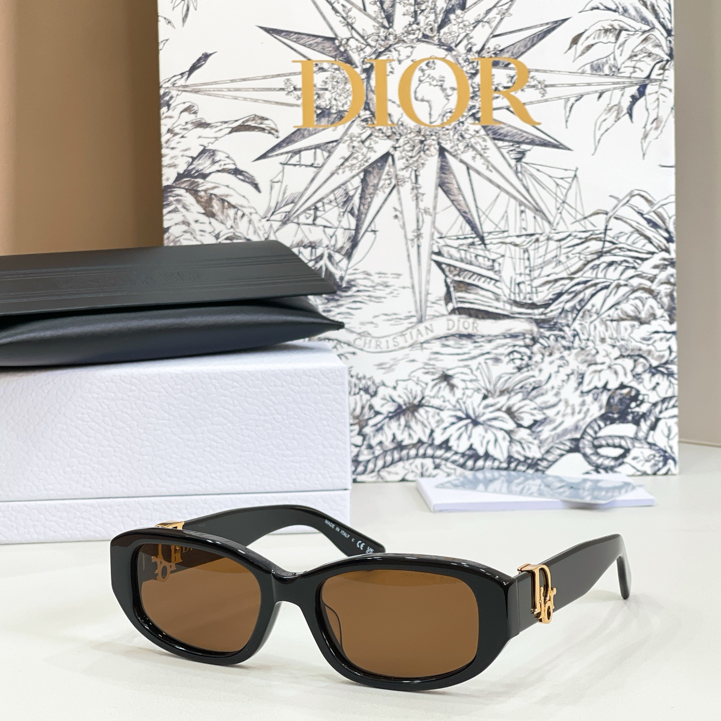 DIOR Sunglasses Acetate Rectangular