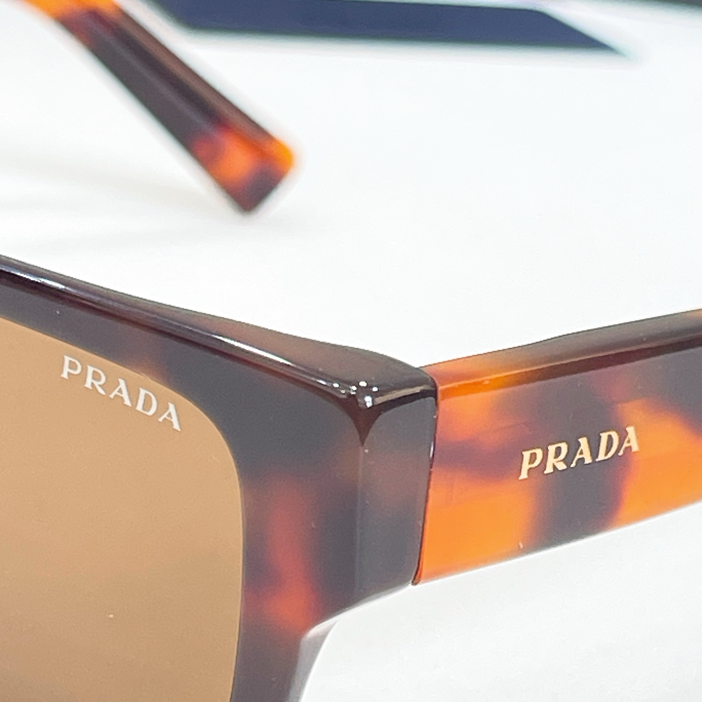 PRAD*🍂🍂🍂MODEL：PR D06V🍂🍂🍂SIZE：54口18-145🍂🍂🍂