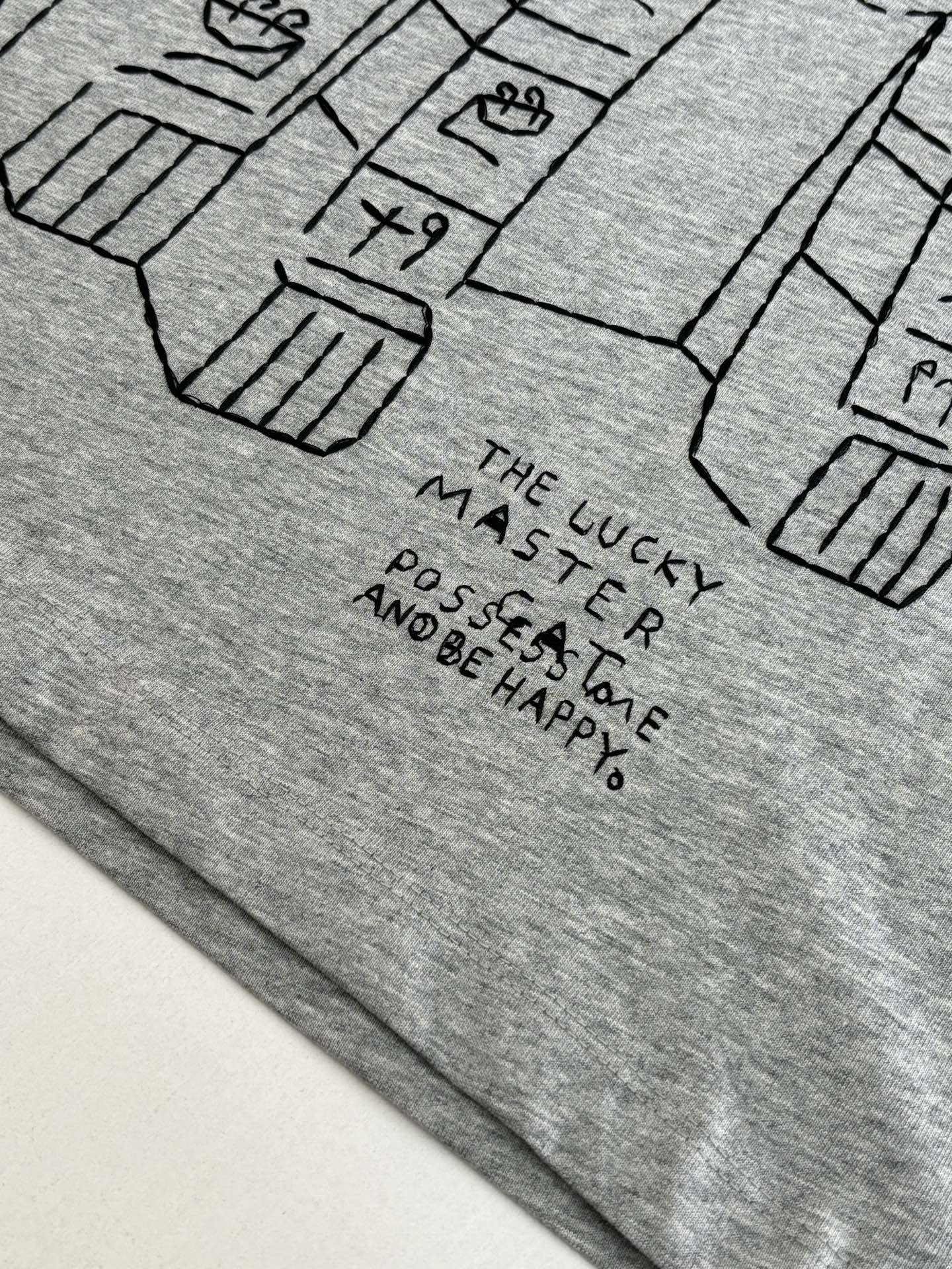 P145
Loew*/罗意威 SS26 Louis Wain 联名灰色宽松长袖T恤

进口棉质面料为基底，上身舒适透气 标志性的oversize宽松廓形与基础圆领设计 兼顾舒适体感与极简穿搭适配性

Size：S/M/L/XL